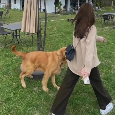 若爱重来
